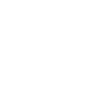 STEAM